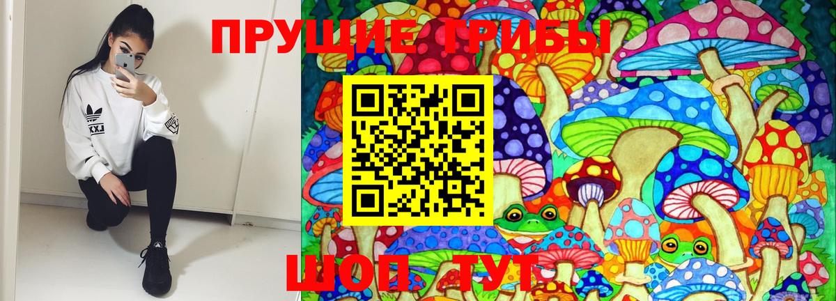 Псилоцибиновые грибы MAGIC MUSHROOMS  Вход с VPN  Красноармейск 